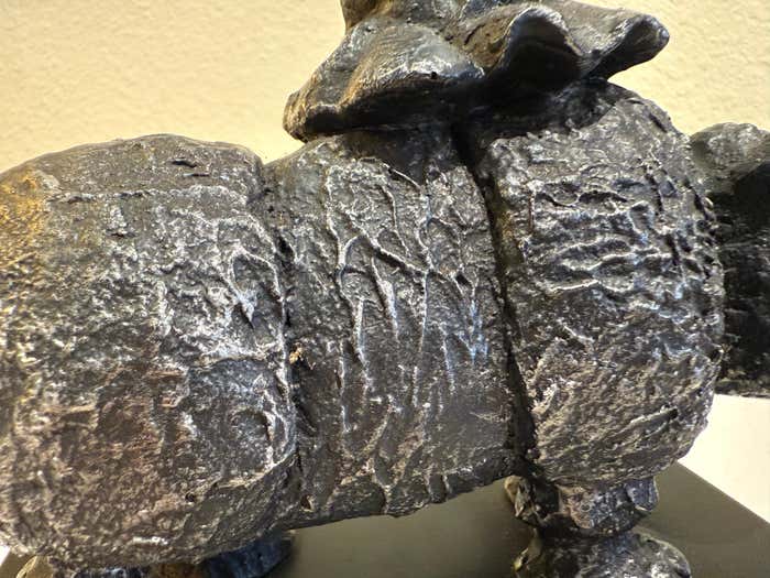 The Journey Girl On Rhino, Cast Bronze Sculpture by Graciela Rodo Boulanger