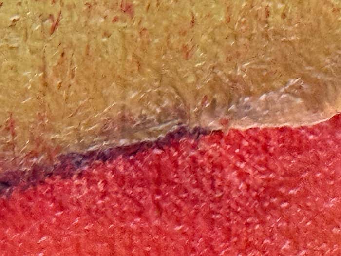 Layered Orange Abstract Oil