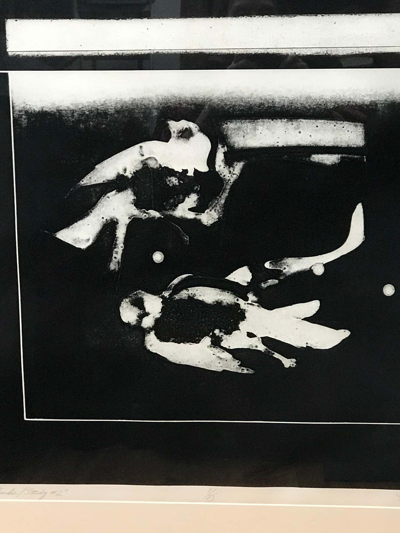 " Two Birds" Lithograph in Gold Frame by Robert Bey