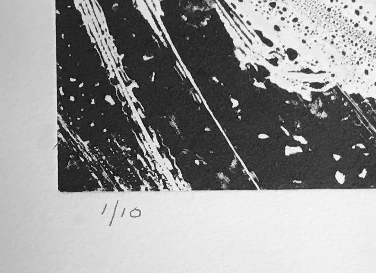 Famed Black and White Abstract #3 by Louise Siekman