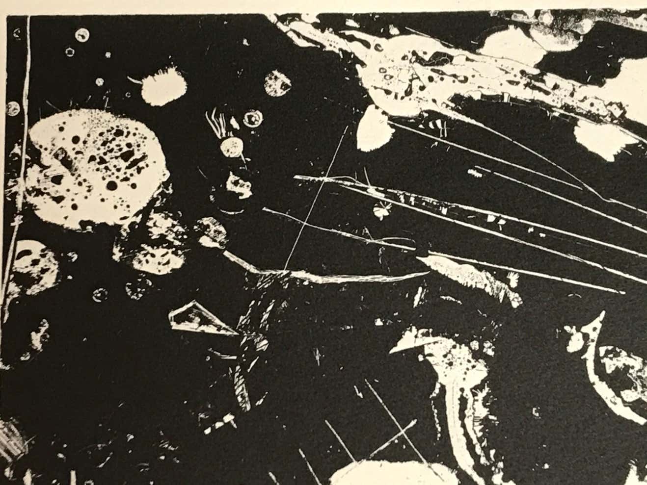 Famed Black and White Abstract #3 by Louise Siekman