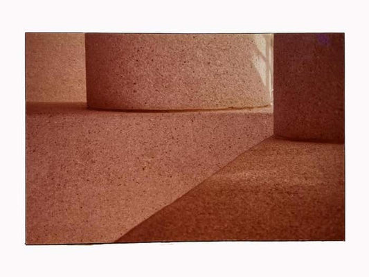 Sherry Bleviss photographs #2