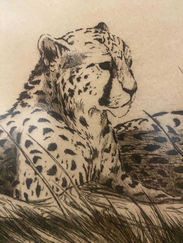 "Cheetah" Lithograph by Linda Lloyd
