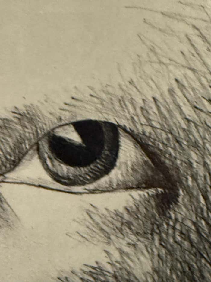 "Kopffüßler mit einer Wunde (Head-Footer with a Wound)" Lithograph by Horst Ante