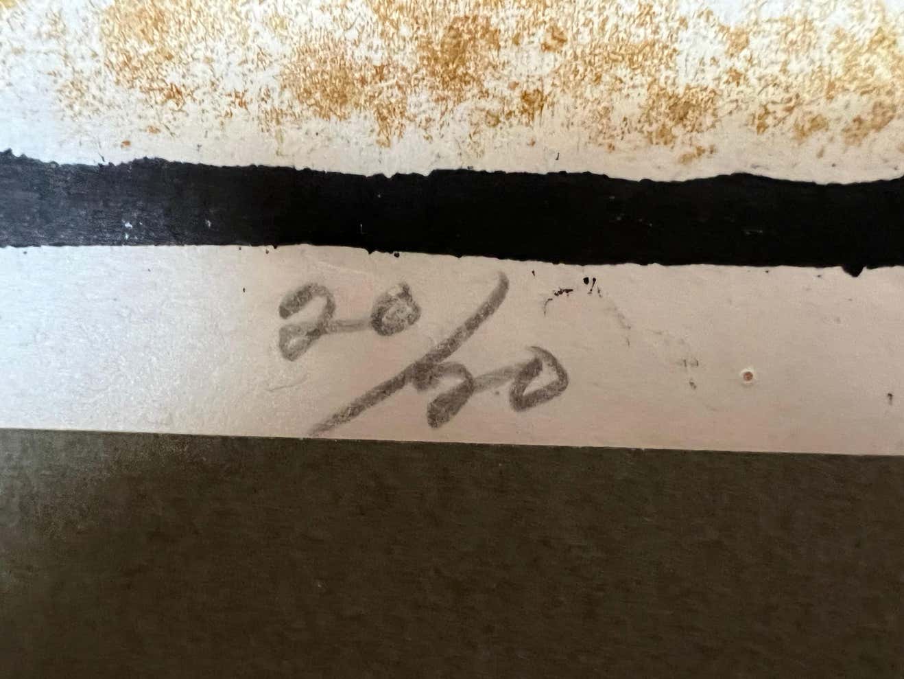 "Metamorphosis of Zan Biell" by Keisuke Serizawa, Signed