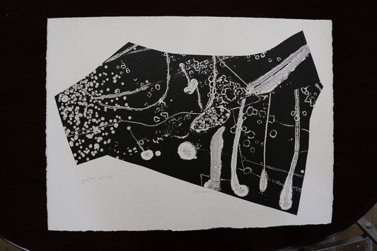 JUPITER TUJO Graphic Abstract Black and White Lithograph Signed Louise Siekman