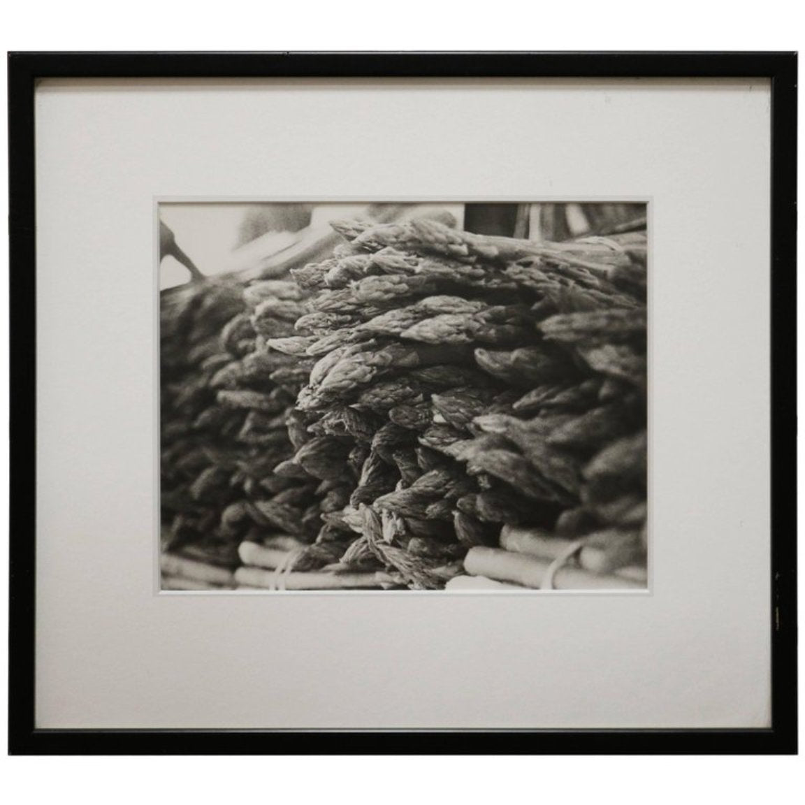 Fine Art Photograph of a Bunch of Asparagus